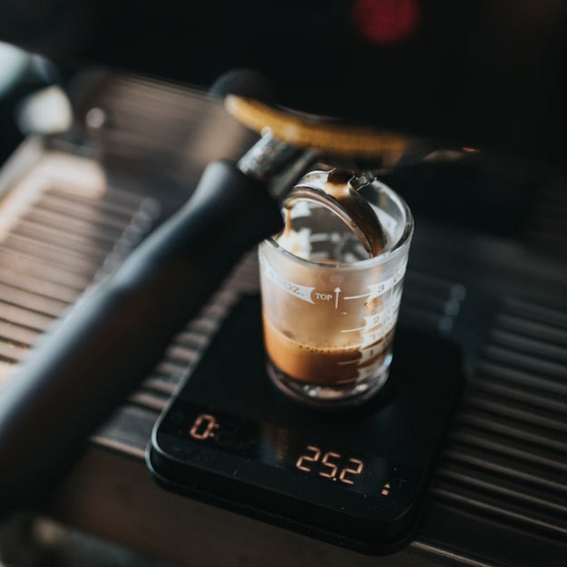 Privater Kaffee Workshop (90min)